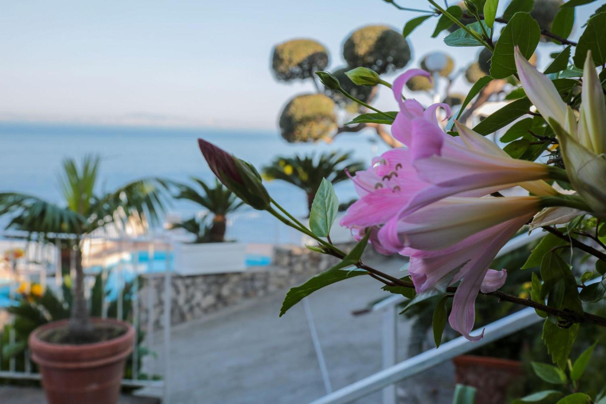 Hotel Villa Lubrense Sorrento Massa Lubrense Extérieur photo